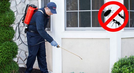 Bolvadin Hamam Böceği İlaçlama böcek ilaçlama ve haşere kontrolü — ilaclama-tr.com
